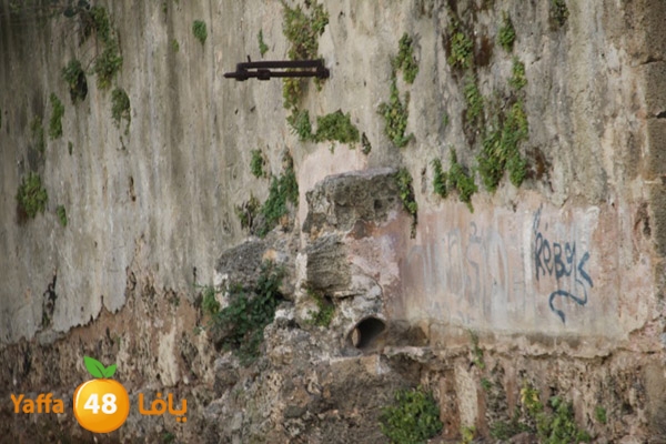 baitandsbeelabokber (5).JPG